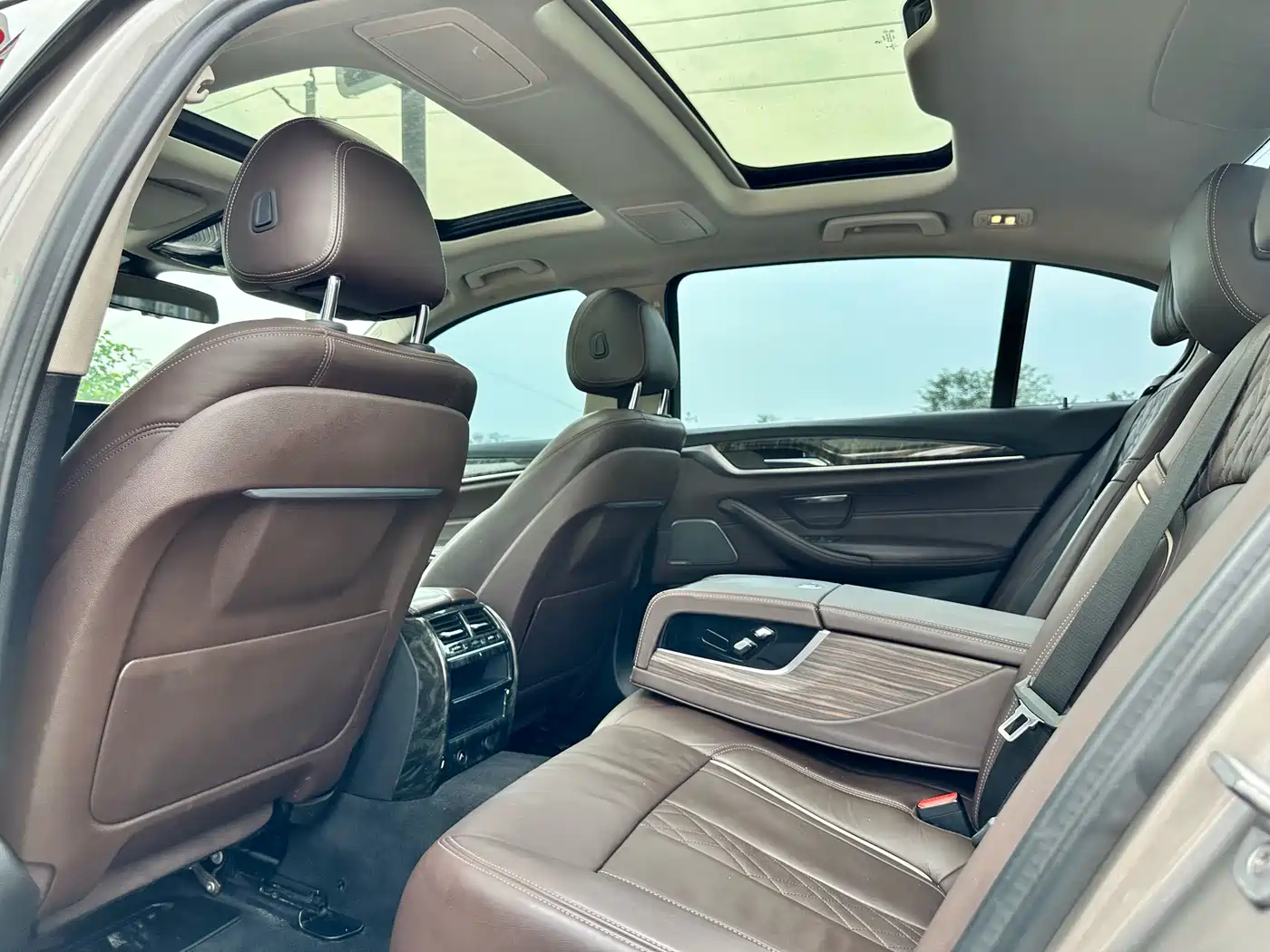 BMW 5 Series 2019 530Li Leading Luxury Package фото 11