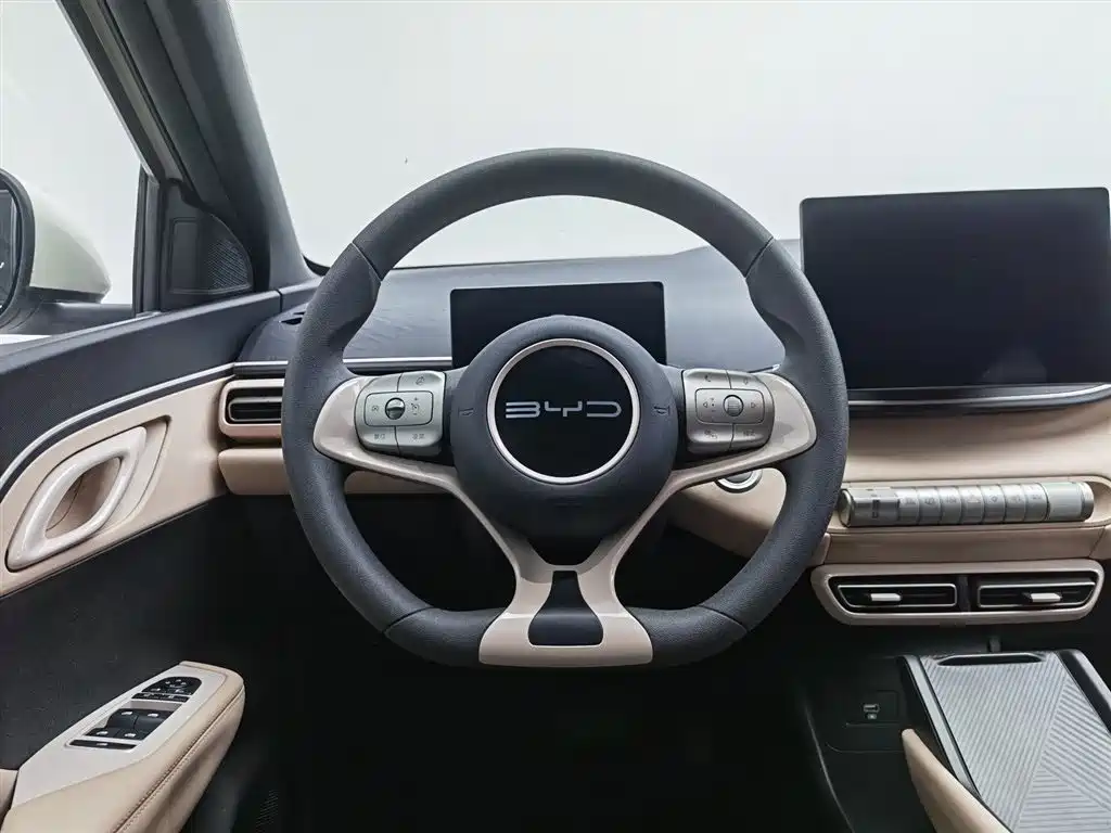 BYD Seagull 2023 Vitality Edition фото 11