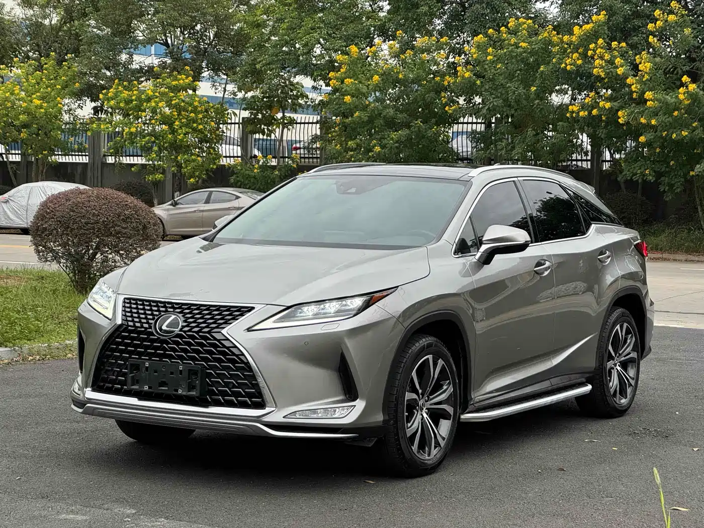 Lexus RX 2020 Facelift 300 AWD Elegance Edition фото 3
