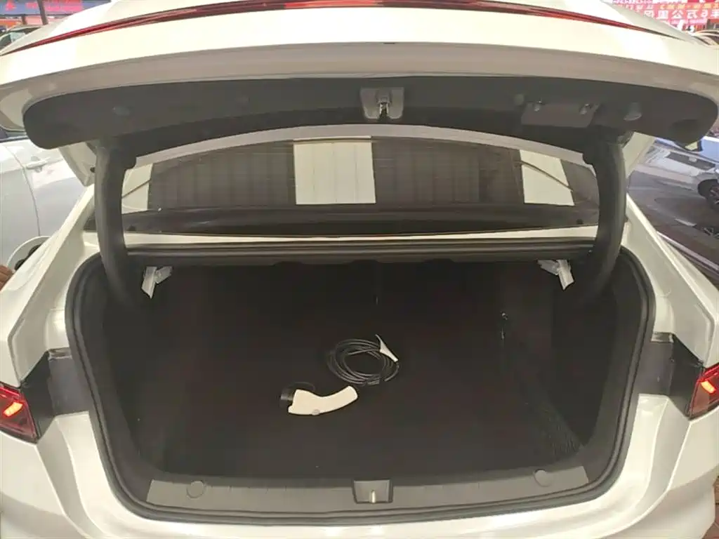 BYD Qin PLUS 2024 Glory Edition DM-i 55KM Leading фото 19