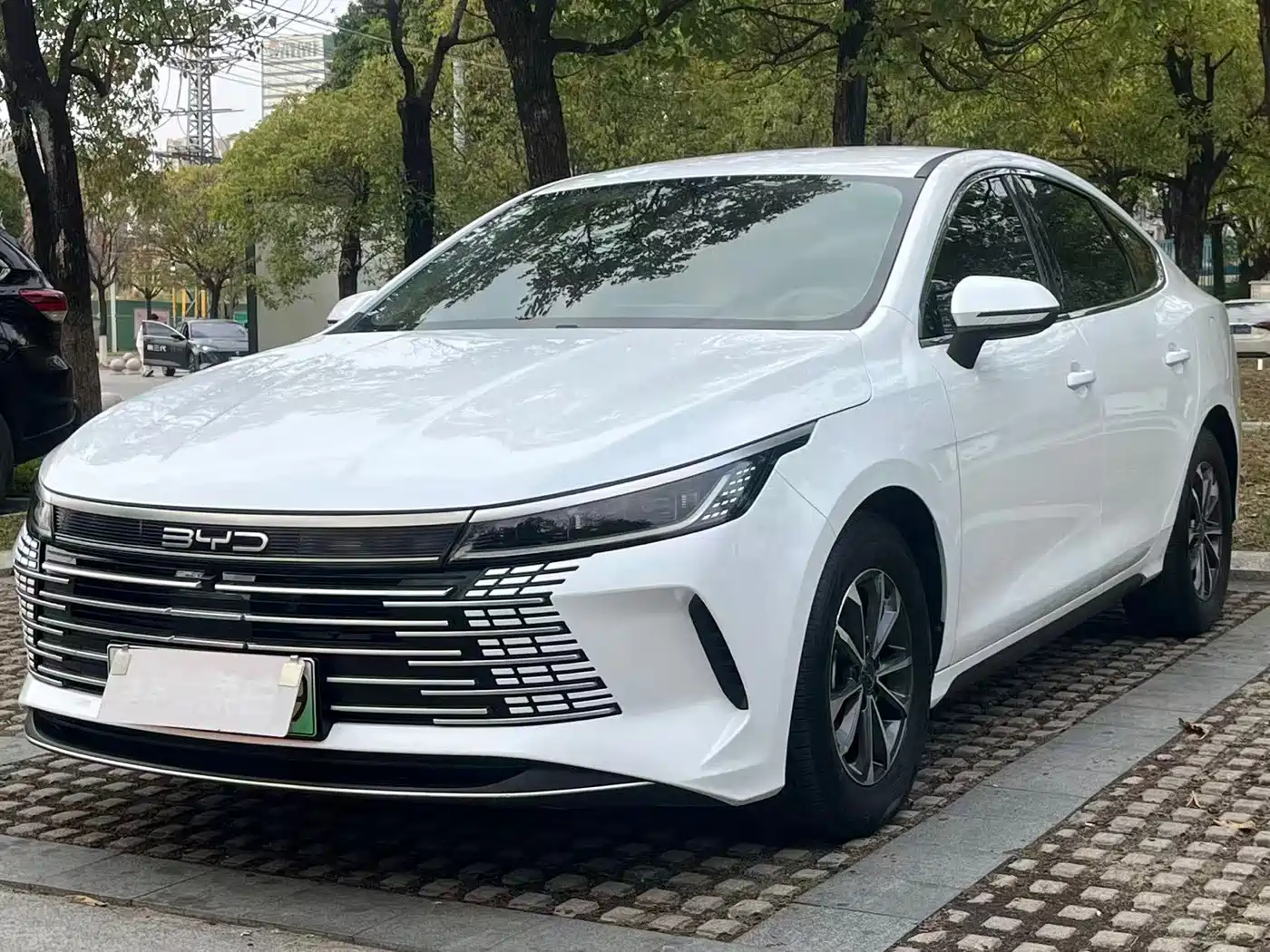BYD Destroyer 05 2024