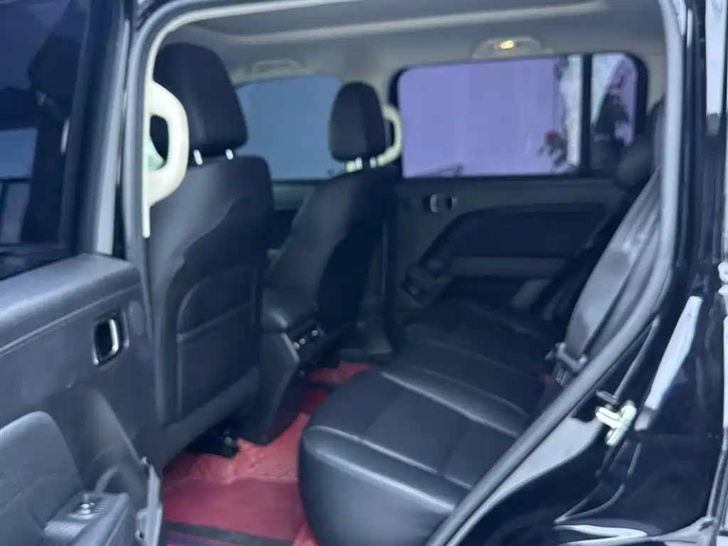 HAVAL RAPTORS NEW ENERGY