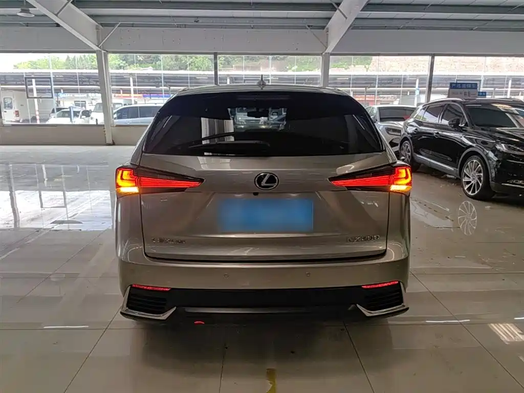 Lexus NX 2018 200 FWD Sharp Edition China VI фото 6