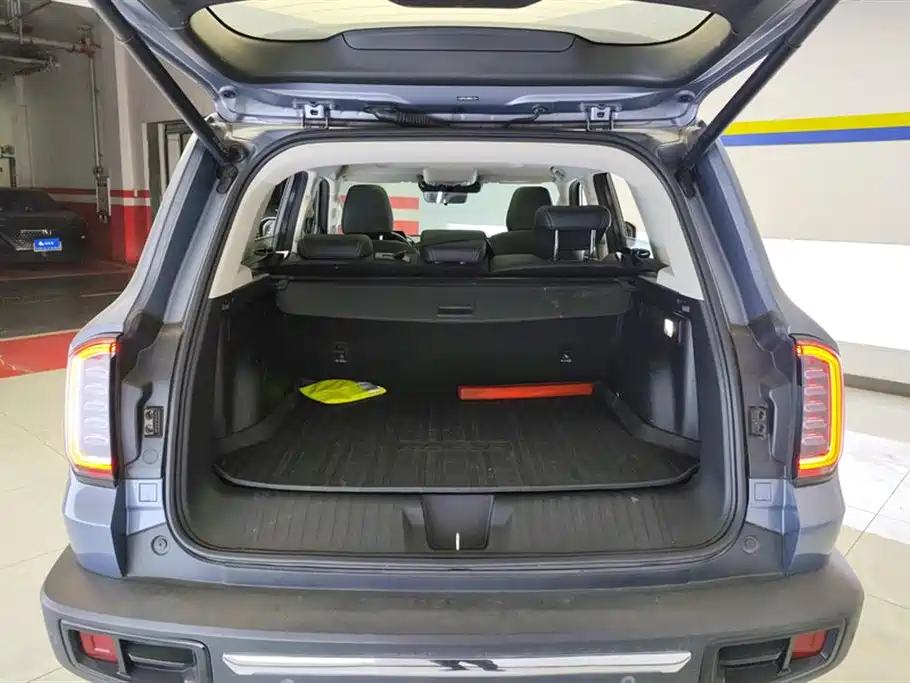 Haval Big Dog 2021 2.0T DCT 4WD Chinese Rural Dog Edition фото 4