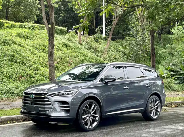 BYD Tang New Energy 2020