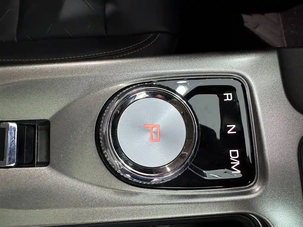 Haval Big Dog 2021 1.5T DCT 2WD Labrador Edition фото 23