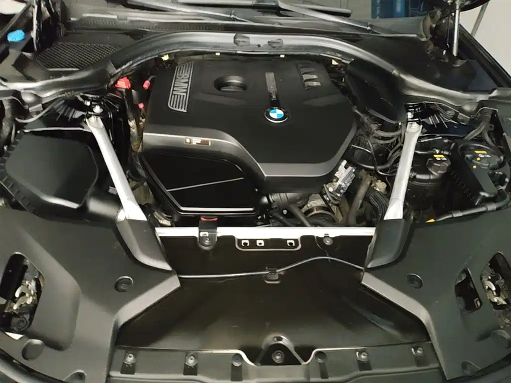 BMW 5 Series 2018 Facelift 530Li Leading Luxury Package фото 20