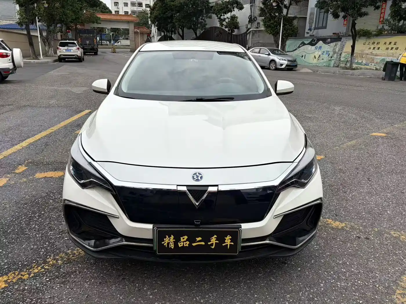 Venucia D60EV 2021 2020 Standard Range Smart Edition