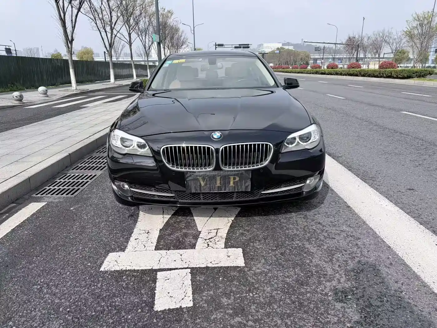 BMW 5 Series 2013 530Li Leadership фото 2