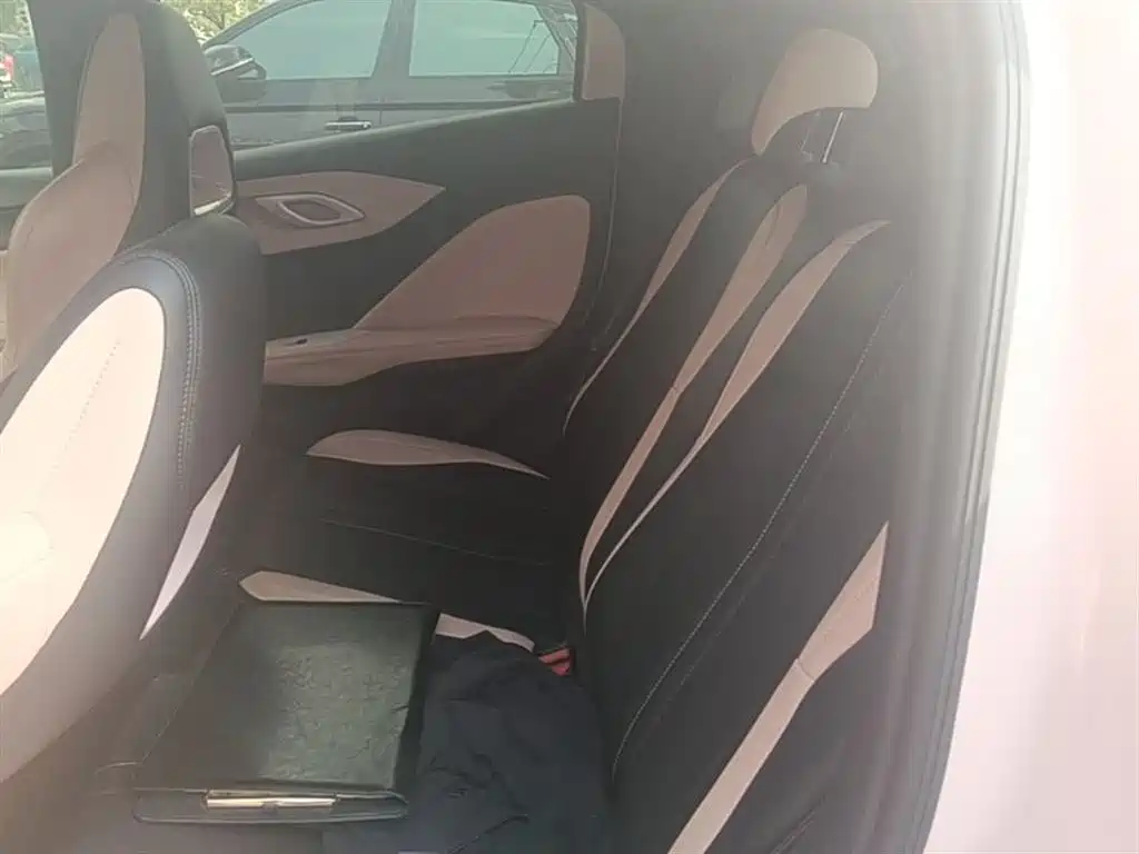 BYD Seagull 2025 Smart Drive Edition 305km Vitality Version фото 17