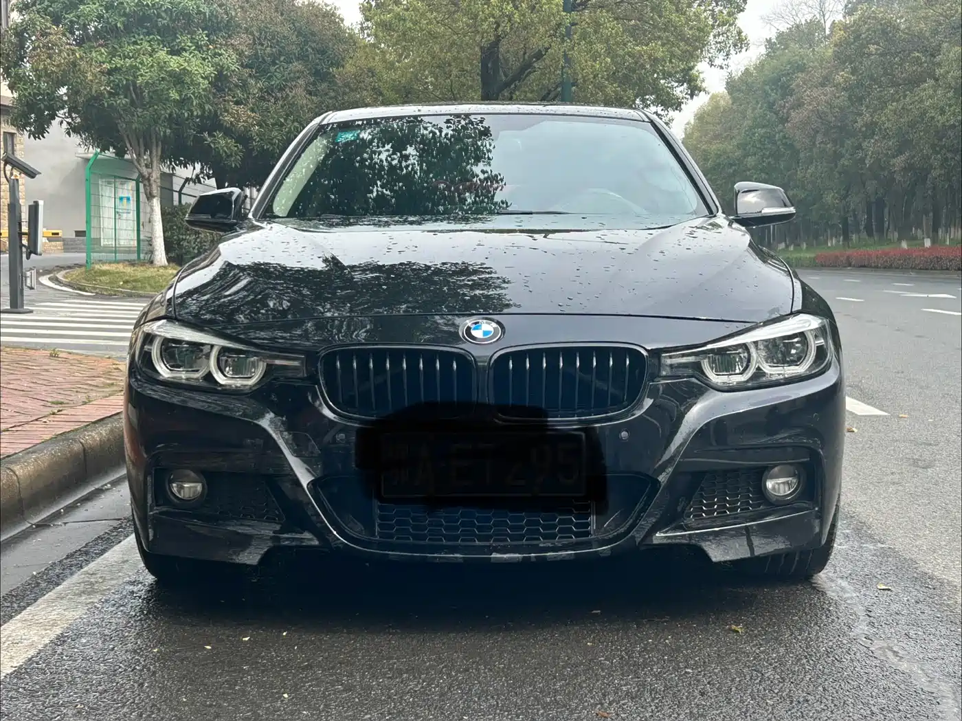 BMW 3 Series 2019 320Li M Sport Black Night Edition фото 2