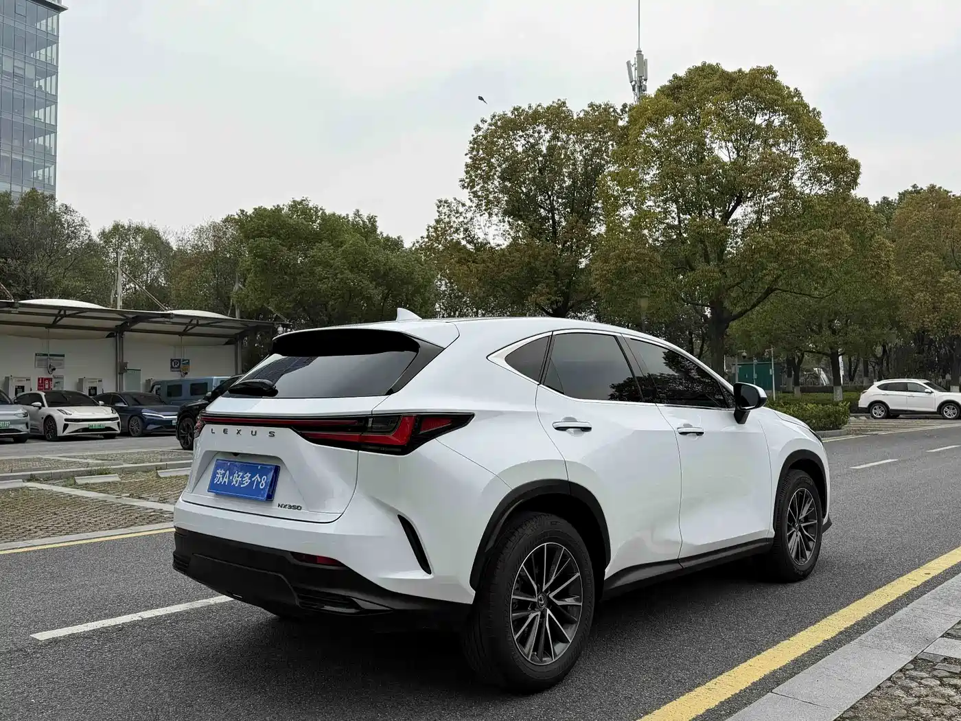 LEXUS NX