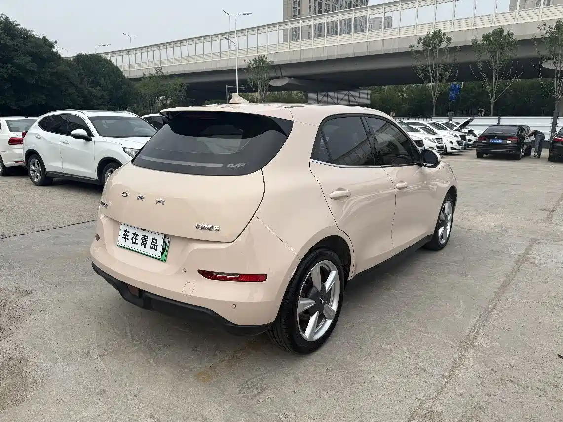 Photo 10 - Ora Good Cat