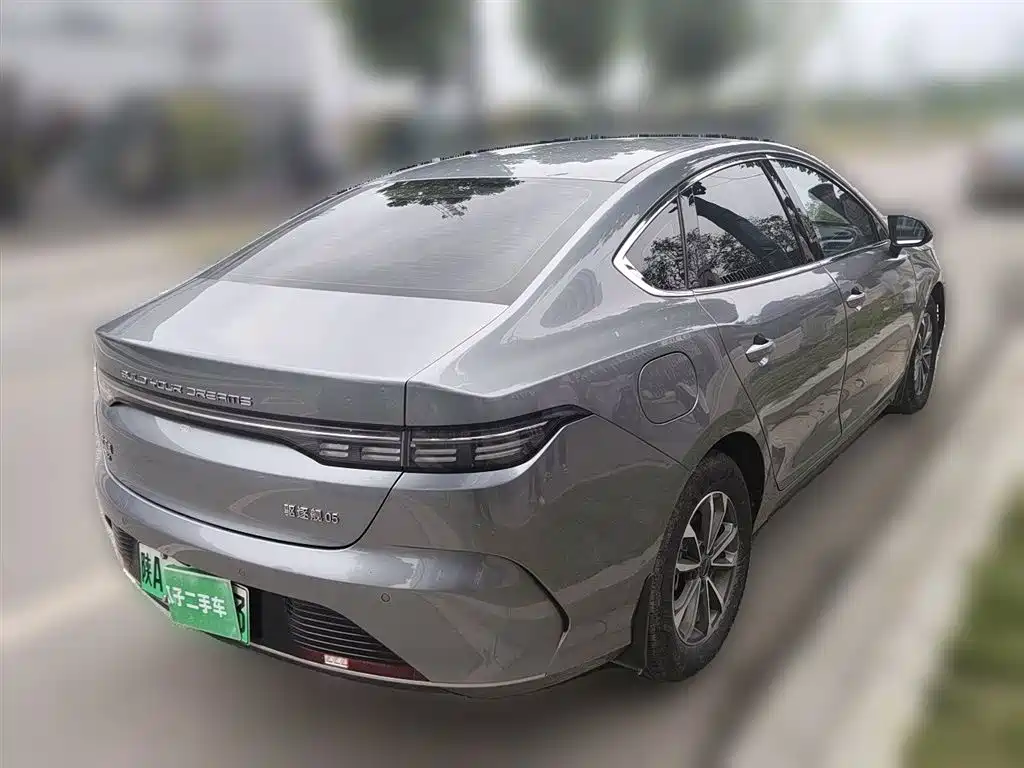 BYD Destroyer 05 2023 Champion Edition DM-i 55KM Luxury фото 5