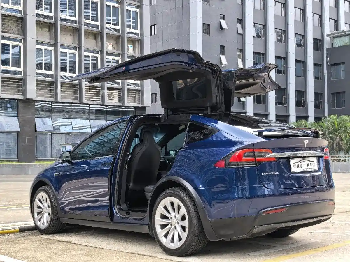Tesla Model X 2017 2017 Model X 100D Long Range
