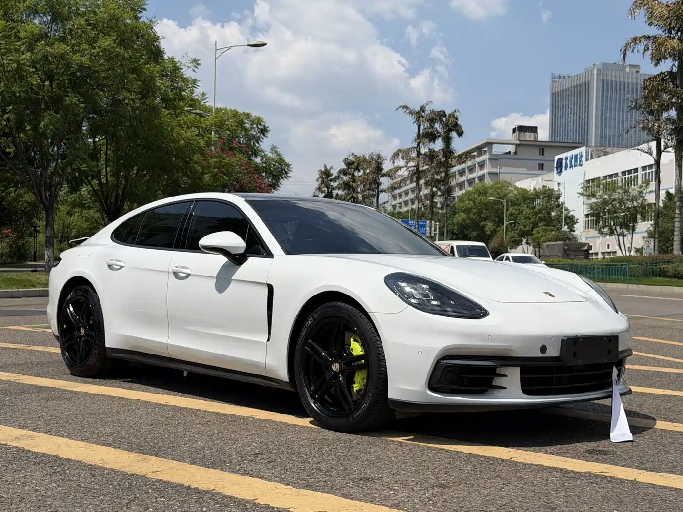 Porsche Panamera New Energy 2020 2018 Panamera 4 E-Hybrid 2.9T