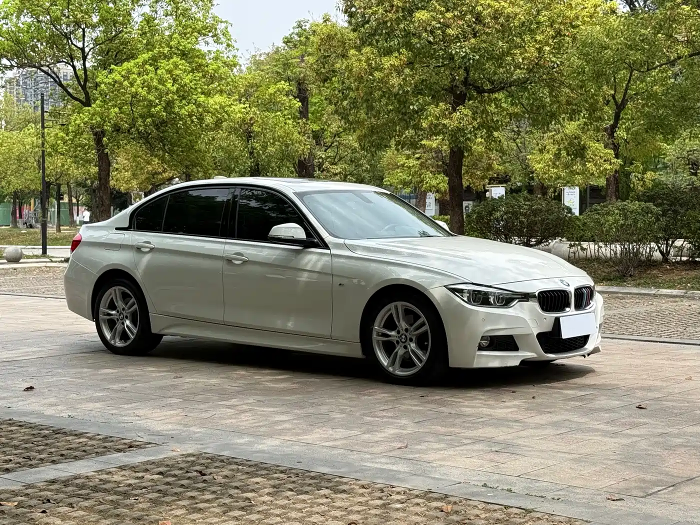 BMW 3 Series 2017 320Li M Sport фото 3