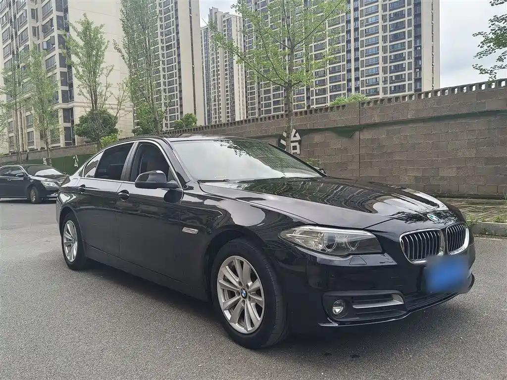 BMW 5 Series 2014 520Li Elegance фото 4