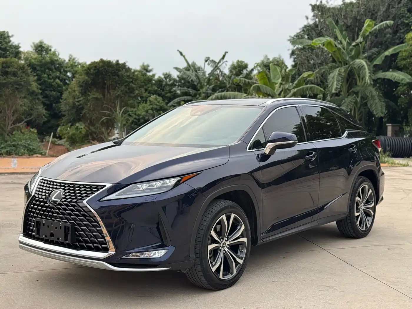 Lexus RX 2020 Facelift 300 AWD Elegance Edition фото 5