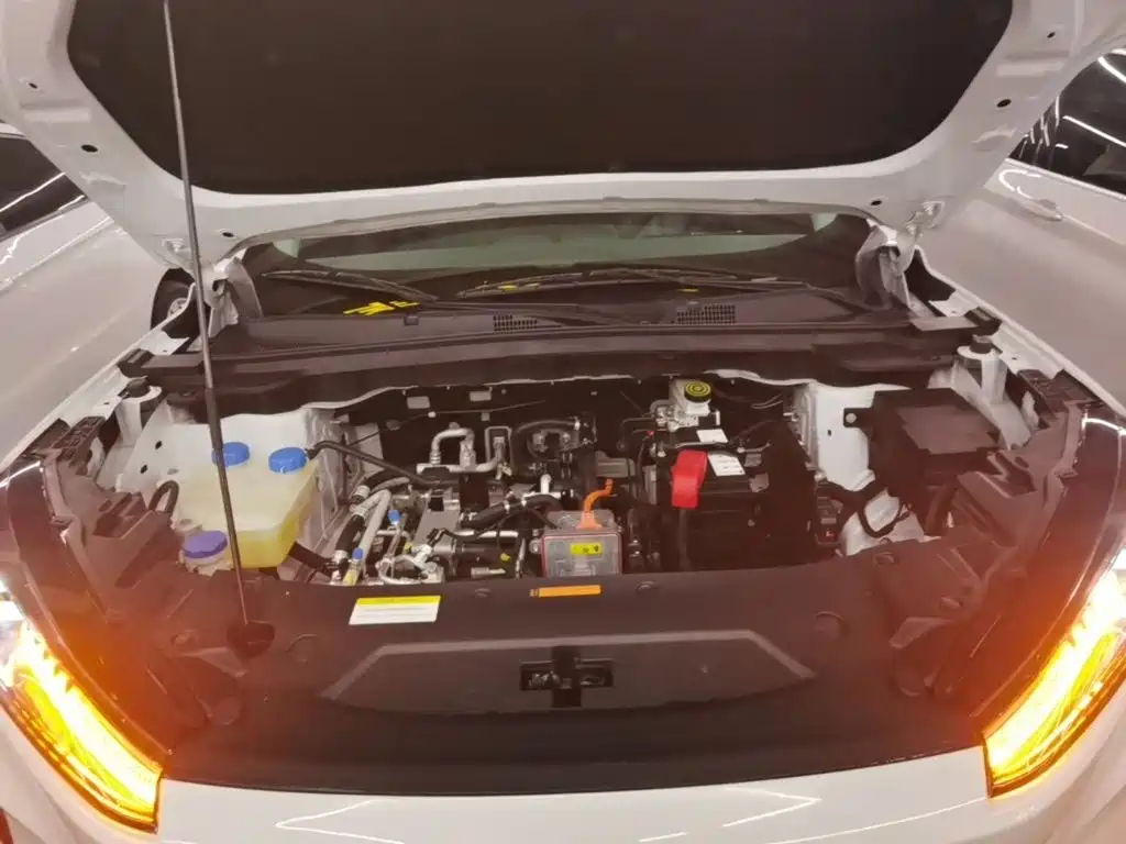 Dongfeng Aeolus SKY EV01 2024 2024 445km PRO