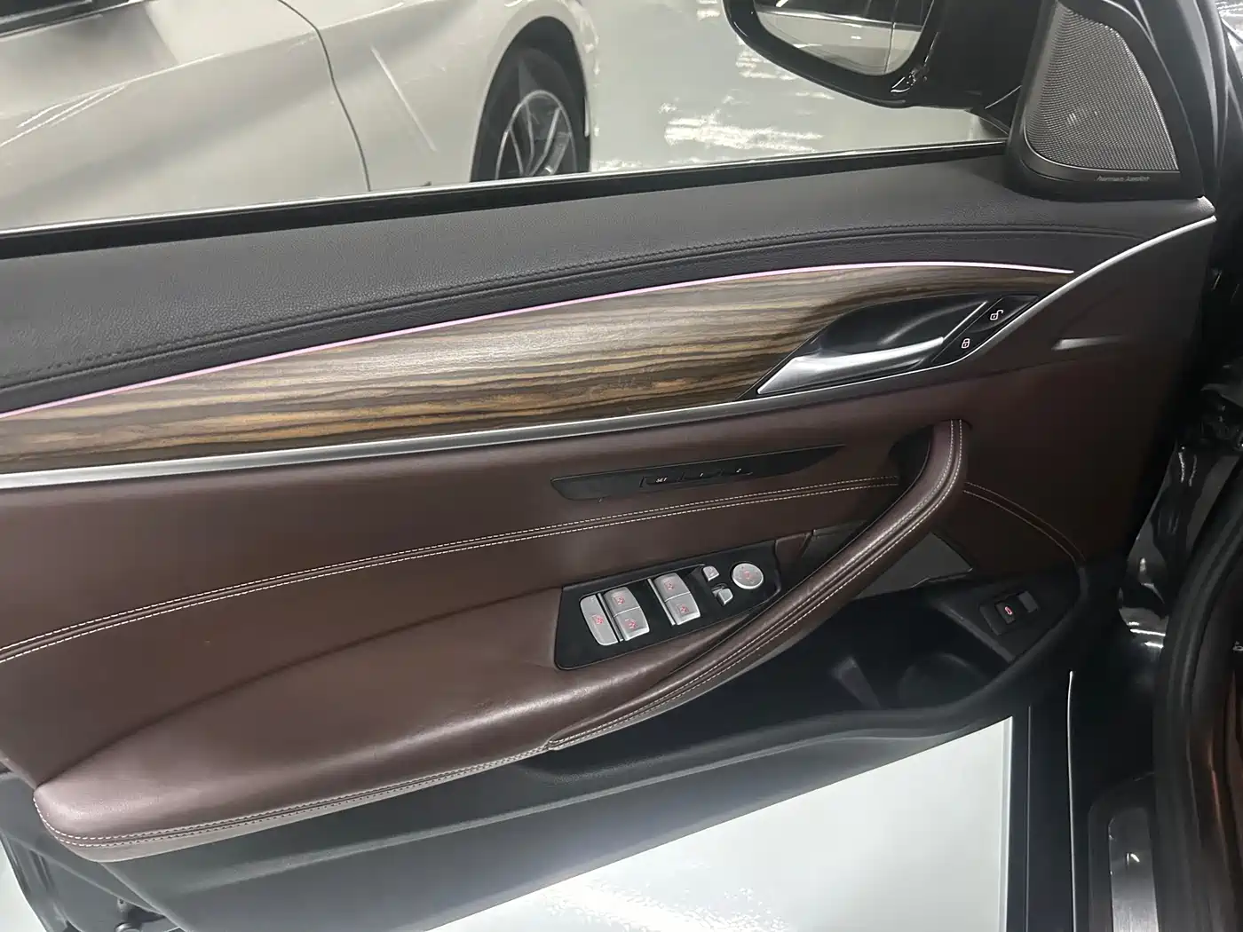 BMW 5 Series 2018 Facelift 530Li Leading Luxury Package фото 14