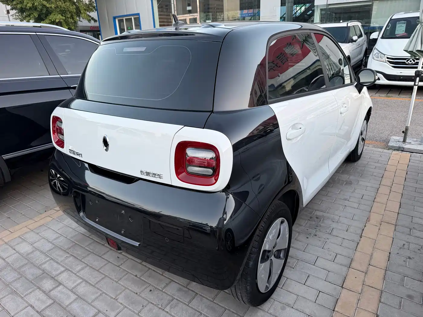 Ora Black Cat 2020 2021 301km Basic Model
