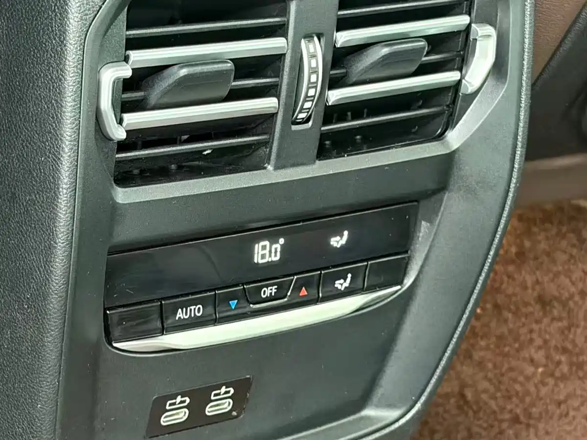 BMW 3 Series 2020 320Li M Sport Package фото 18