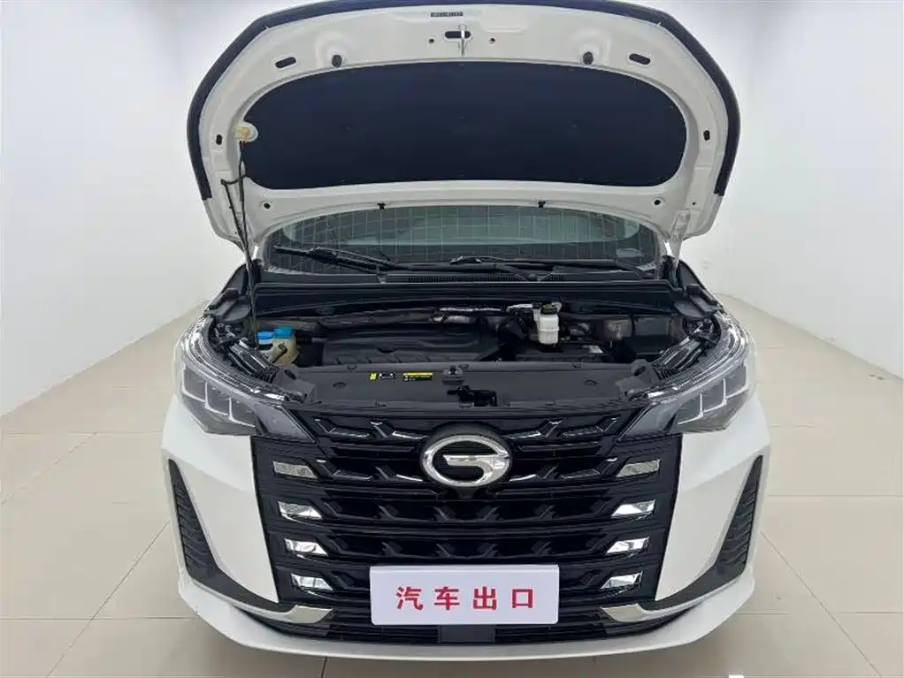 GAC Trumpchi Trumpchi M6 2021 PRO 270T DCT Luxury Edition фото 7