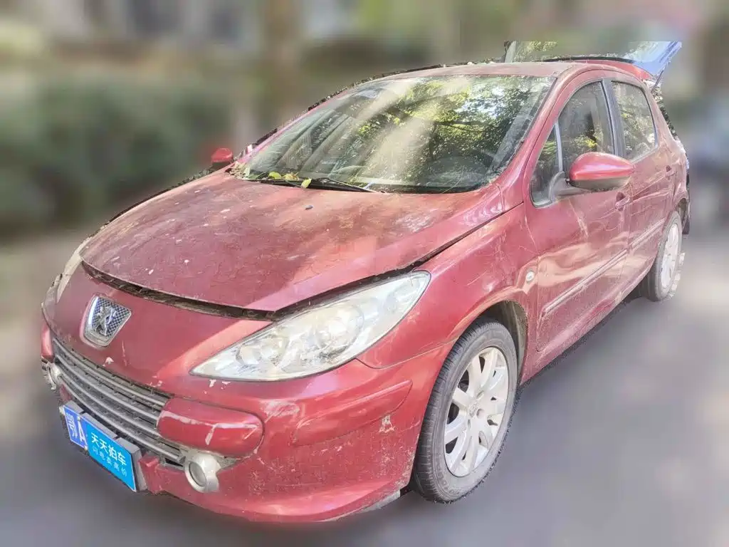 2013 Peugeot 307