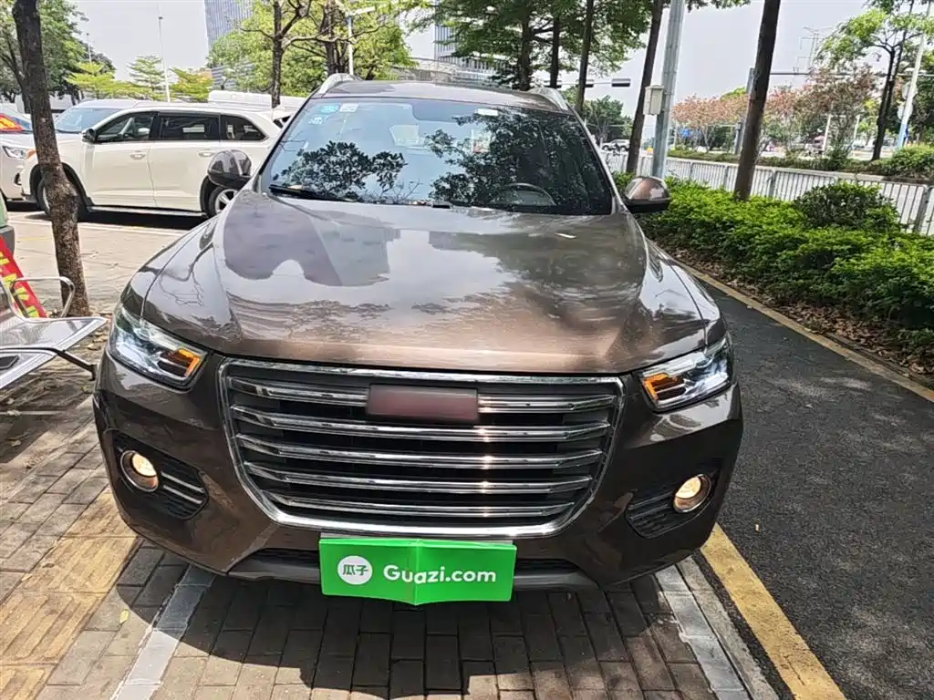 Haval H6 2017 Red Label 2.0T Automatic 2WD Premium фото 3