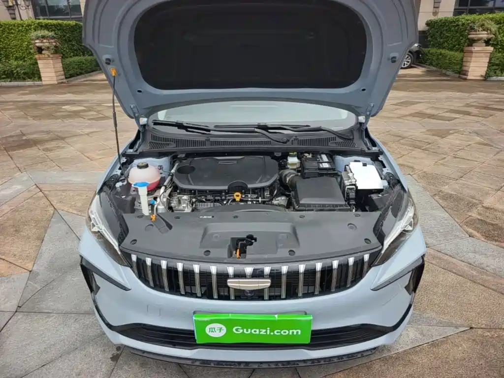 Фото 20 - Geely Binrui
