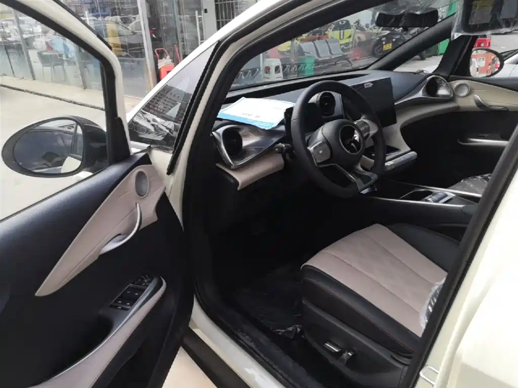 BYD Dolphin 2025 420km Freedom Edition фото 16