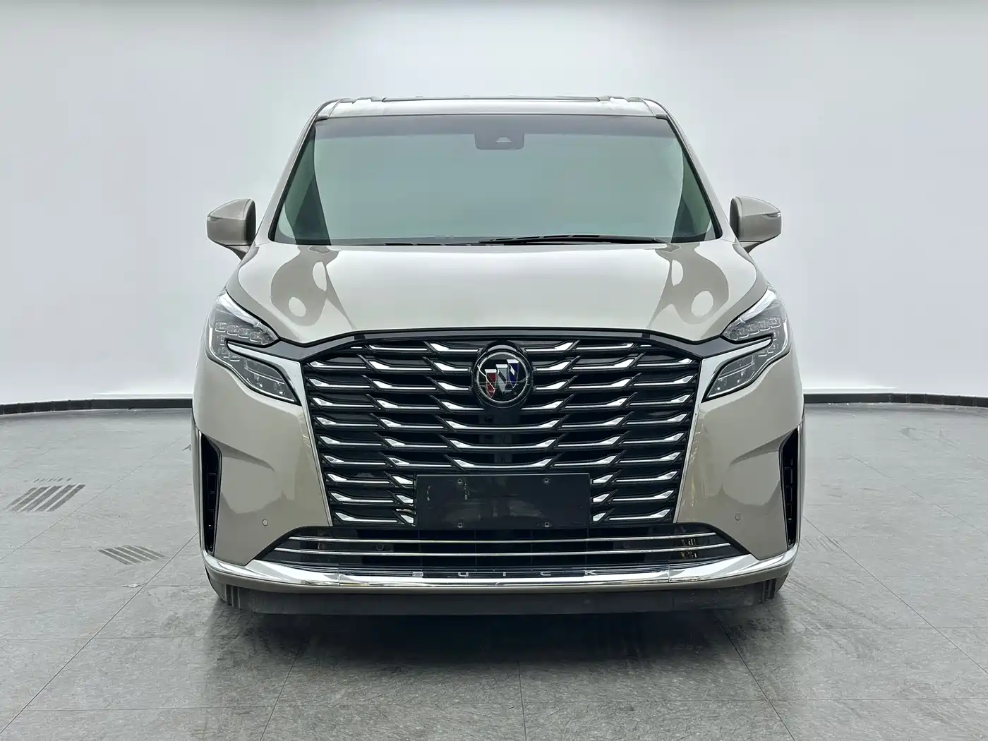 Buick GL8 2023 ES Landmaster Exclusive фото 2
