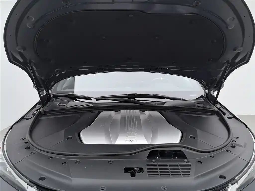 BYD Tang New Energy 2021 DM-i 112KM Honor фото 6