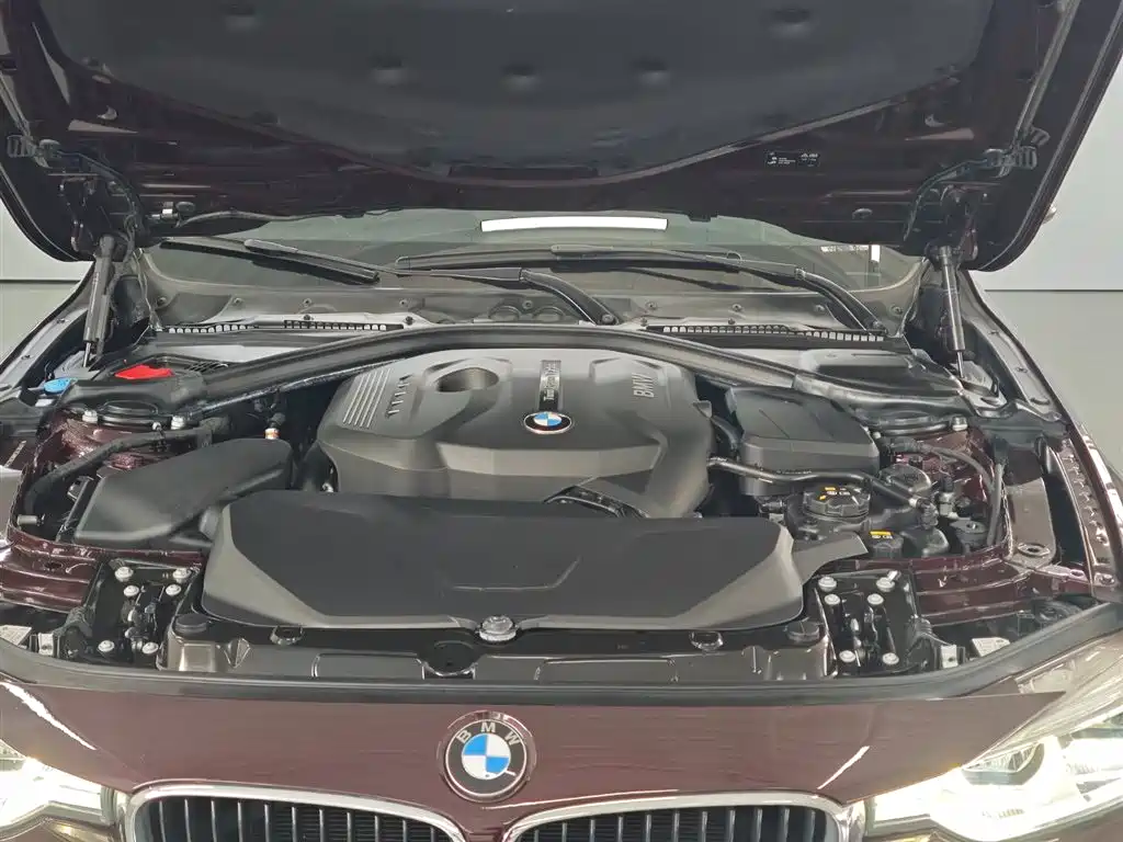 BMW 3 Series 2017 320Li Fashion фото 21