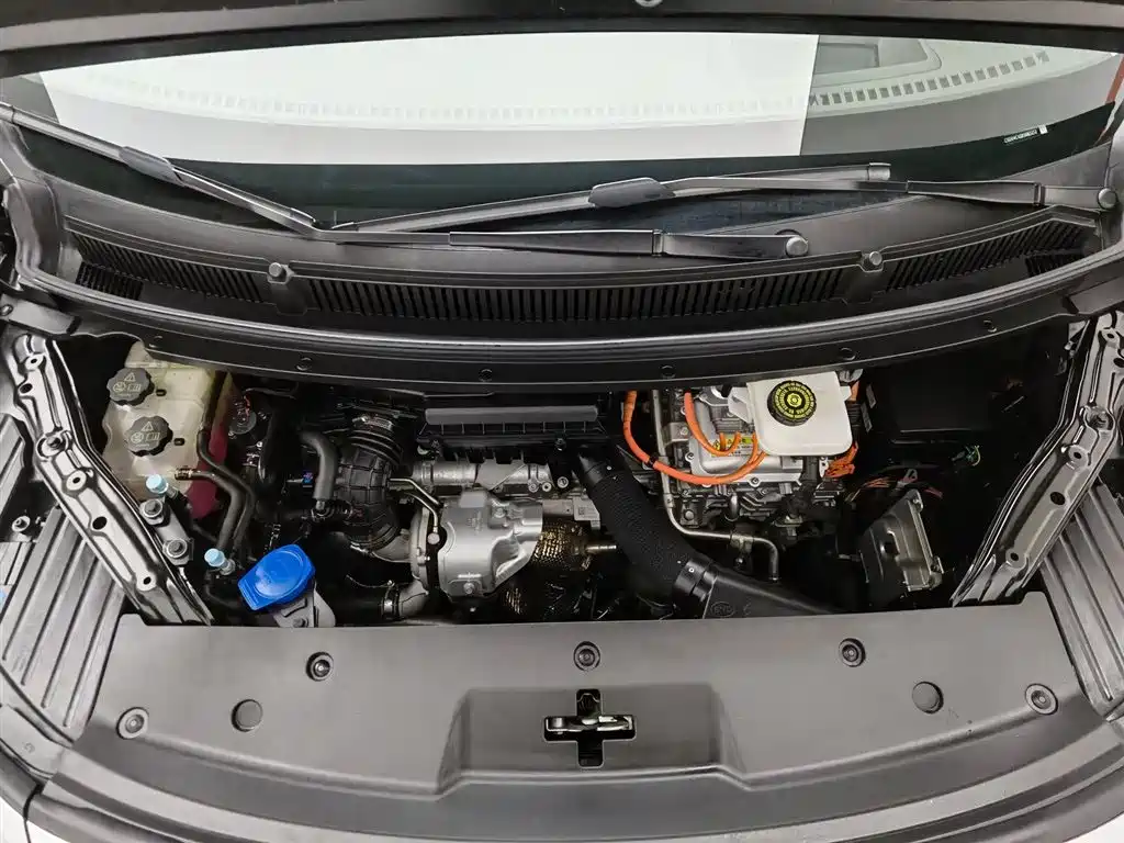 Denza D9 2024 DM-i 980 AWD Prestige фото 6