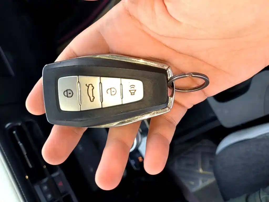 Geely Geometry E Firefly 2023 2024 Model 301km Light Flow