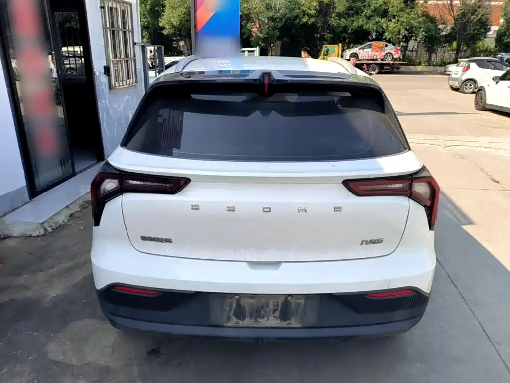 Geely Geometry E Firefly 2023 2024 Model 301km Light Flow