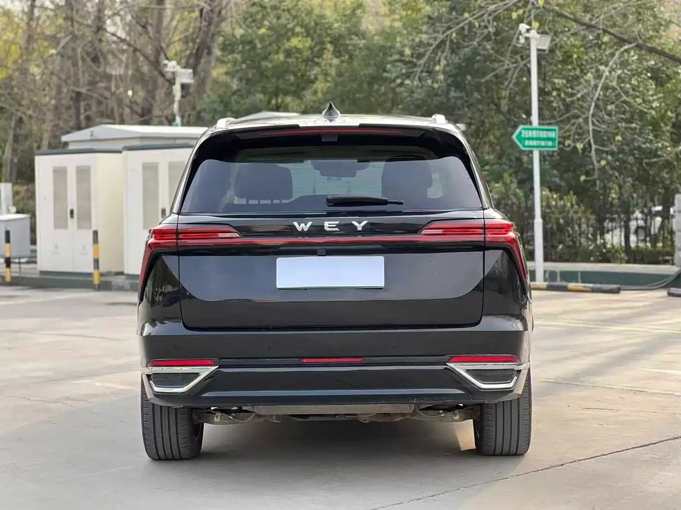 WEI PAI WEI BRAND BLUE MOUNTAIN