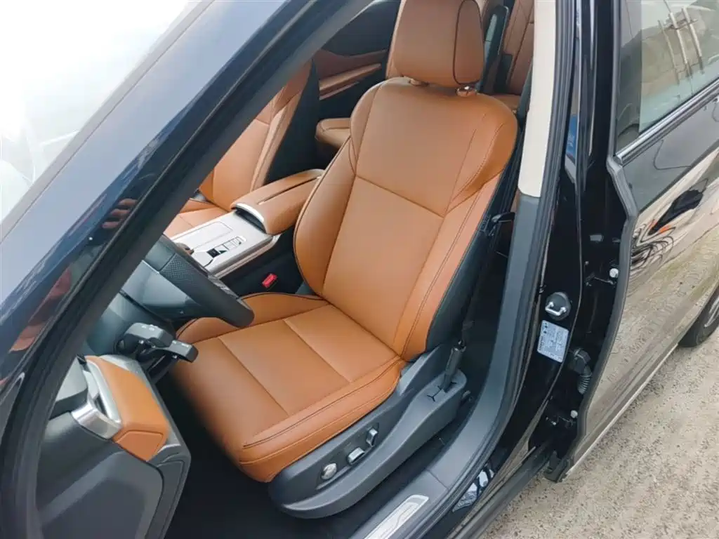 Hongqi HS7 PHEV 2025 2.0T PHEV 4WD 6-Seater Commemorative Edition фото 15