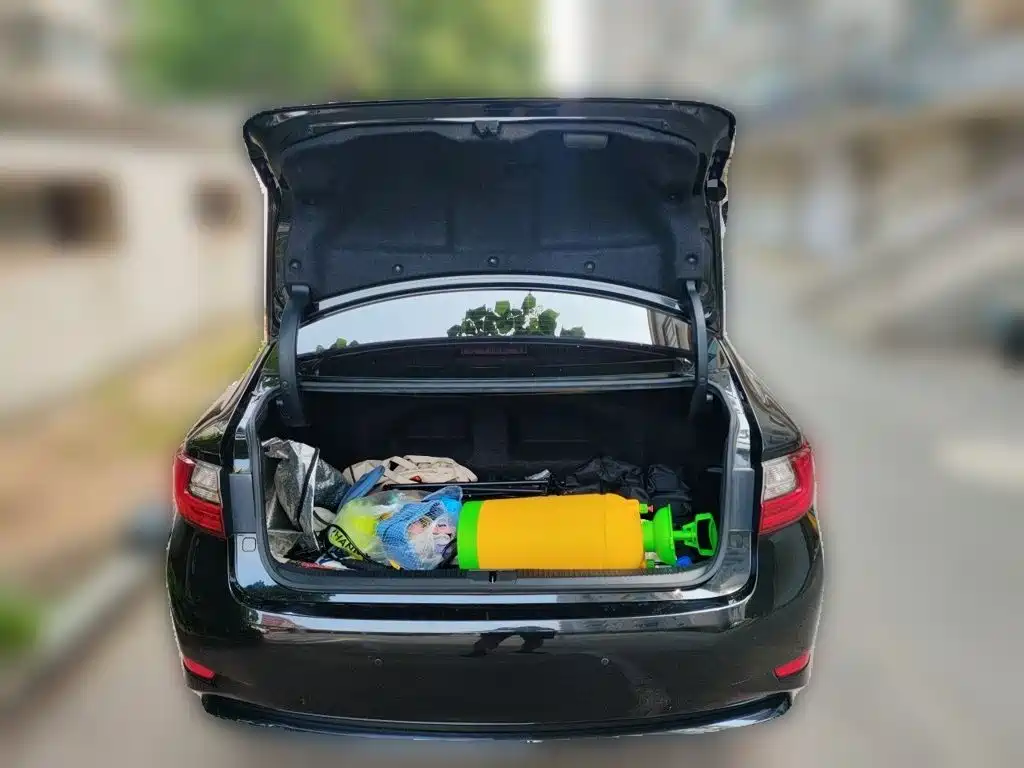 Фото 10 - Lexus ES