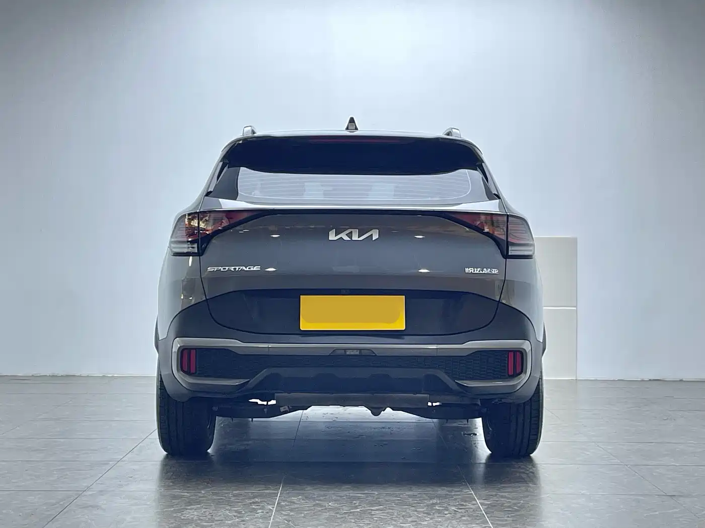 KIA LION PLATINUM EXPANDS THE WORLD
