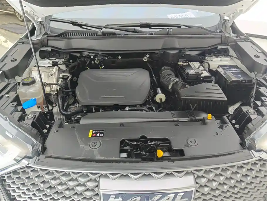 Haval H6 2022 3rd Gen 1.5T Auto 2WD Pro фото 10