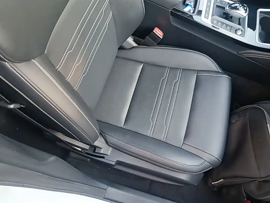BYD Qin New Energy 2019 Long Range Luxury Edition фото 25