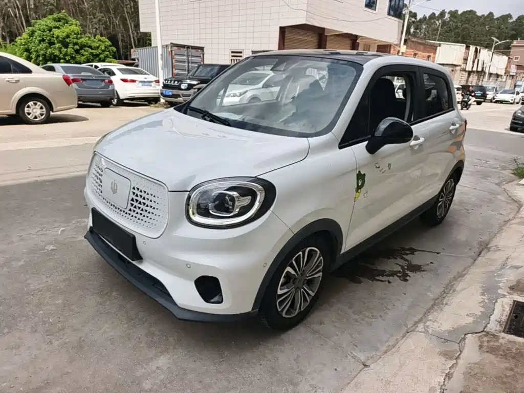 Leapmotor T03 2020 2020 400 Luxury Edition