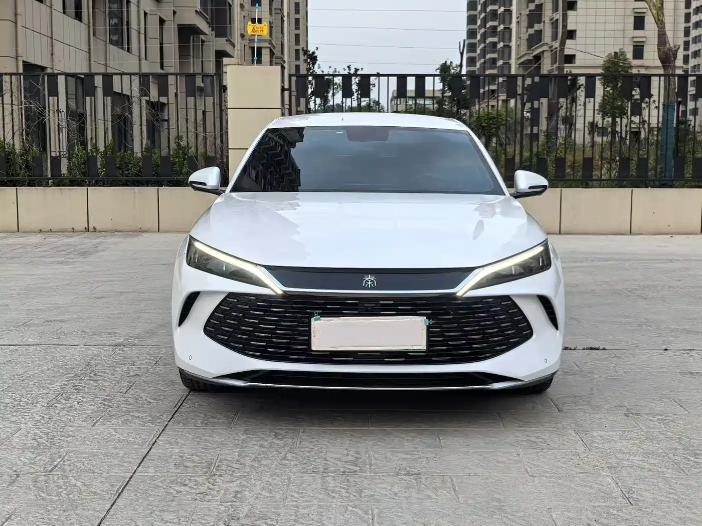 BYD Qin L 2024 DM-i 80KM Leading Edition фото 2