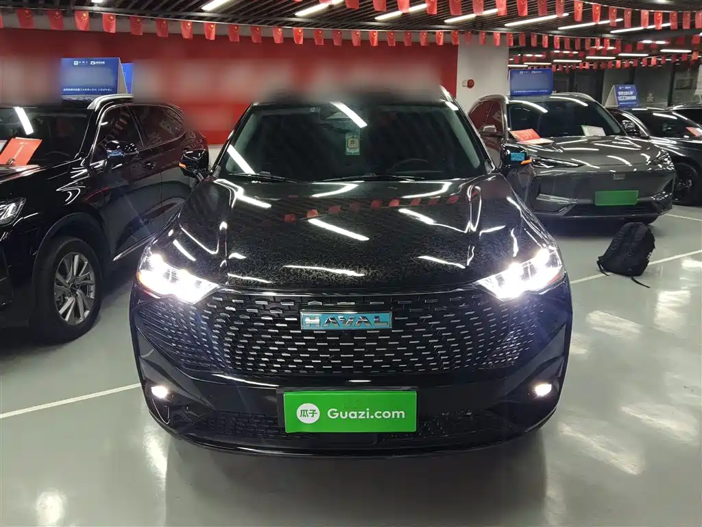 Haval H6 New Energy 2023 DHT-PHEV 110KM Joy Ride Edition фото 3