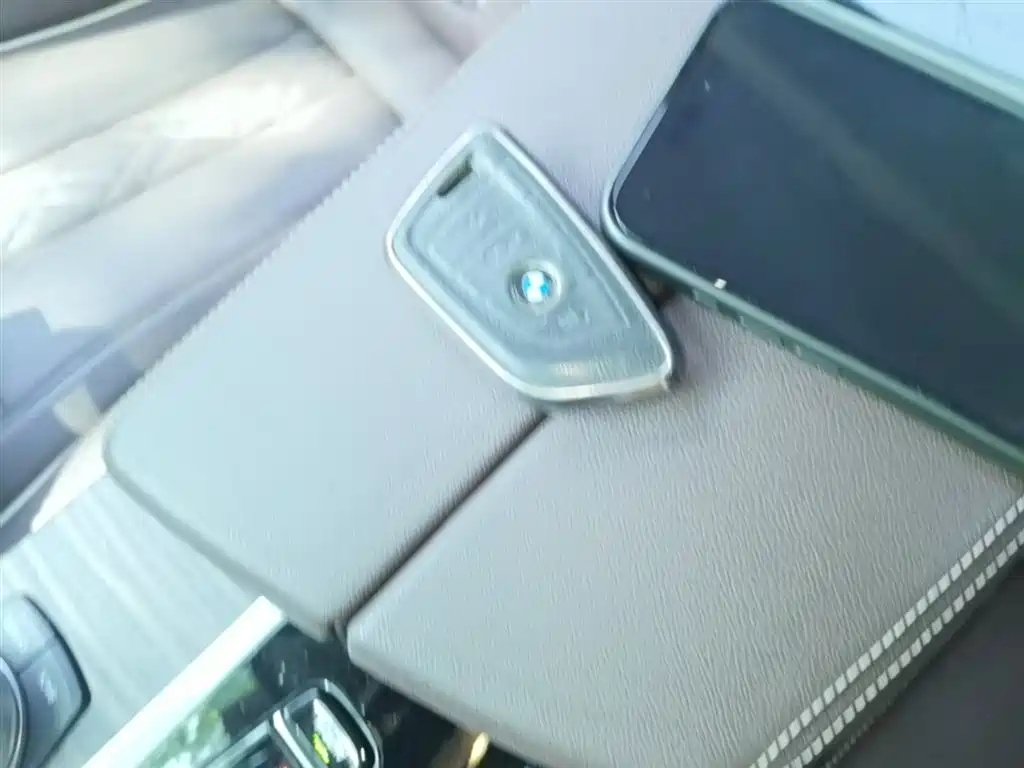 BMW 5 Series 2021 530Li Leading Luxury Package фото 9