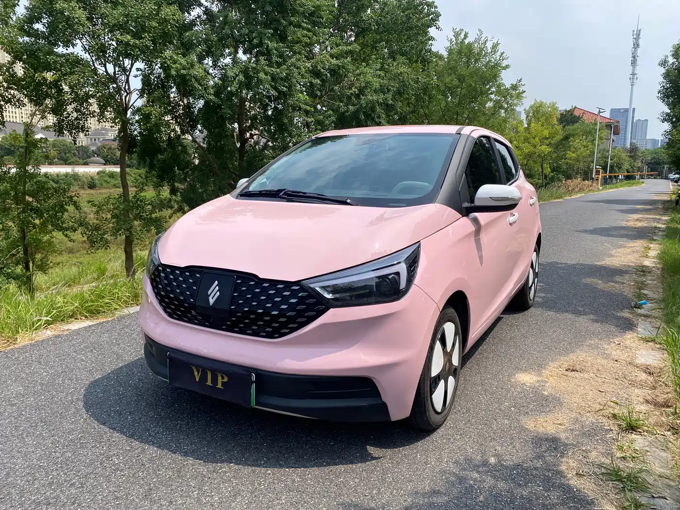JMCG New Energy Yizhi EV3 2024 2024 Youth Edition 330KM Comfort