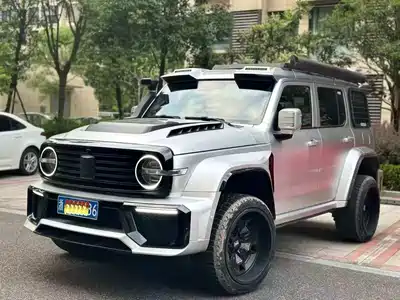 Tank 300